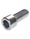 Chrome inch Allen screws 1/4-20 19 mm long