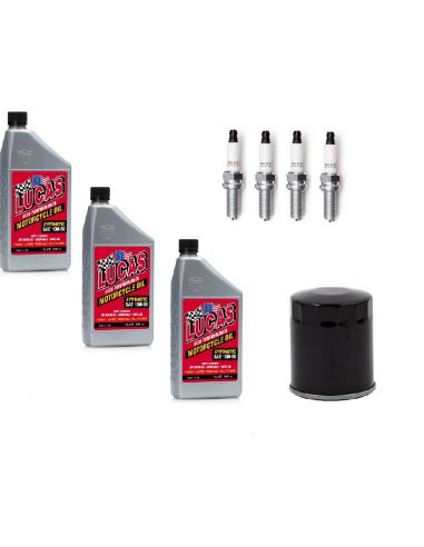 Synthetic service kit 10W-50 for Sportster1250S from 2021 to 2023