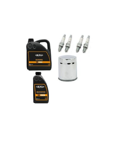 Service kit with semi-synthetic oil rev-tech for Harley Davidson Softail and Touring M8 from 2017 to 2022