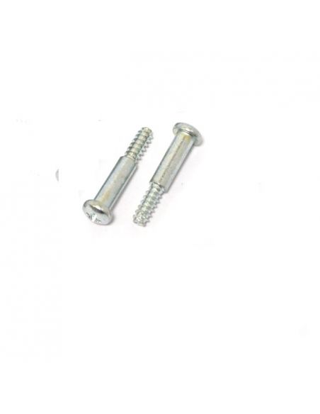 Pair of rear light glass screws for all models Harley Davidson from 73 to 98 ref OEM 68026-73