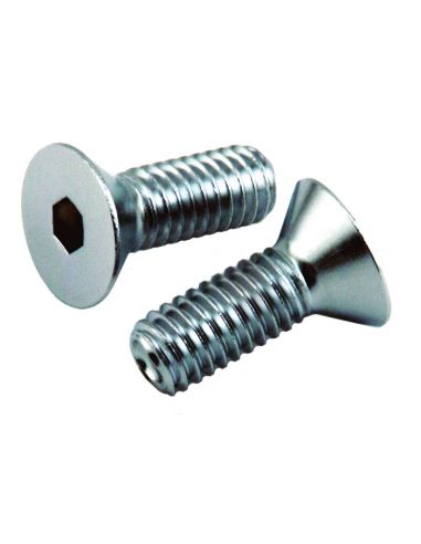 Countersunk screws in chrome 1/4-20 inches 22 mm long